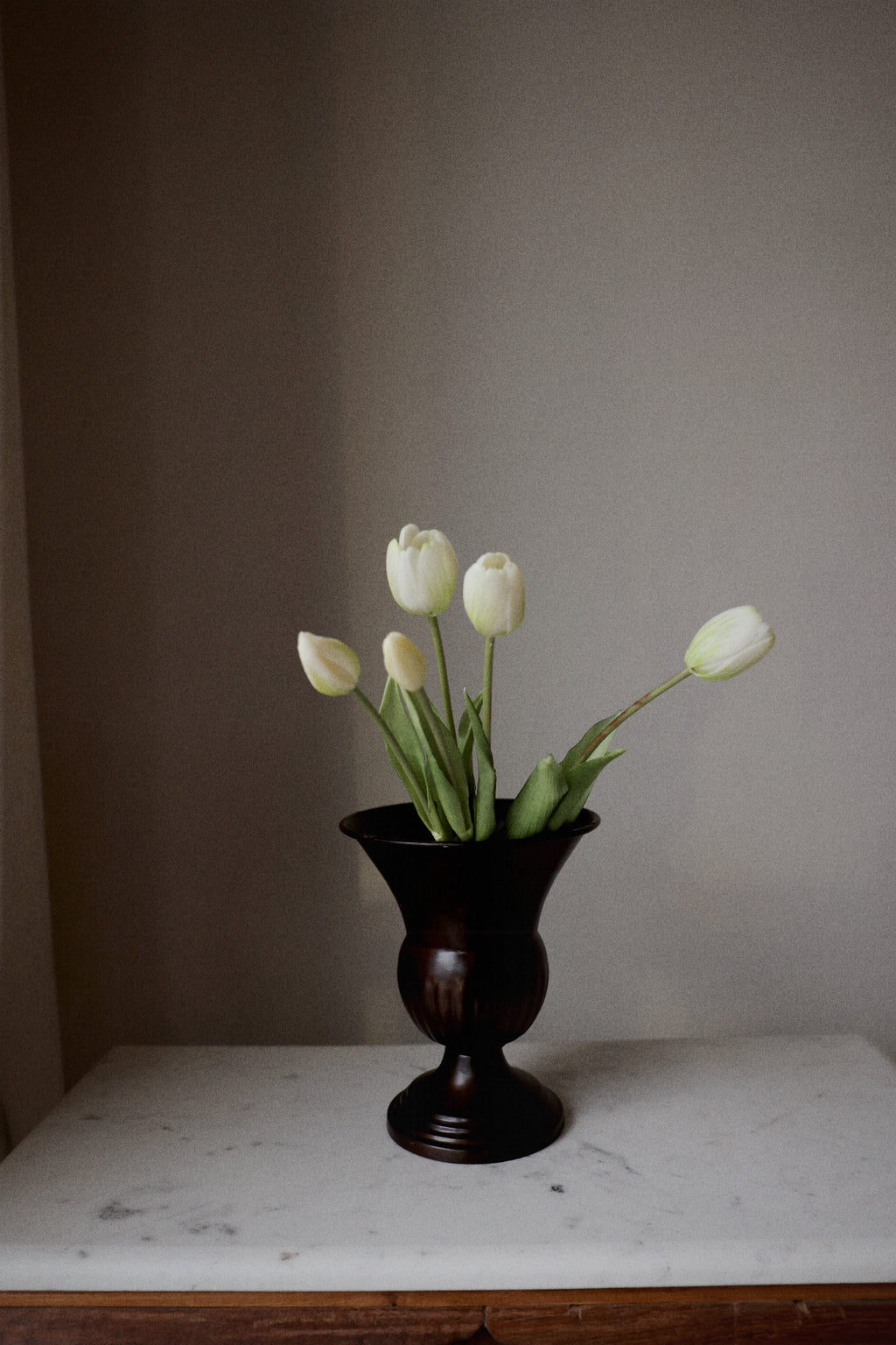 Tulipaner
