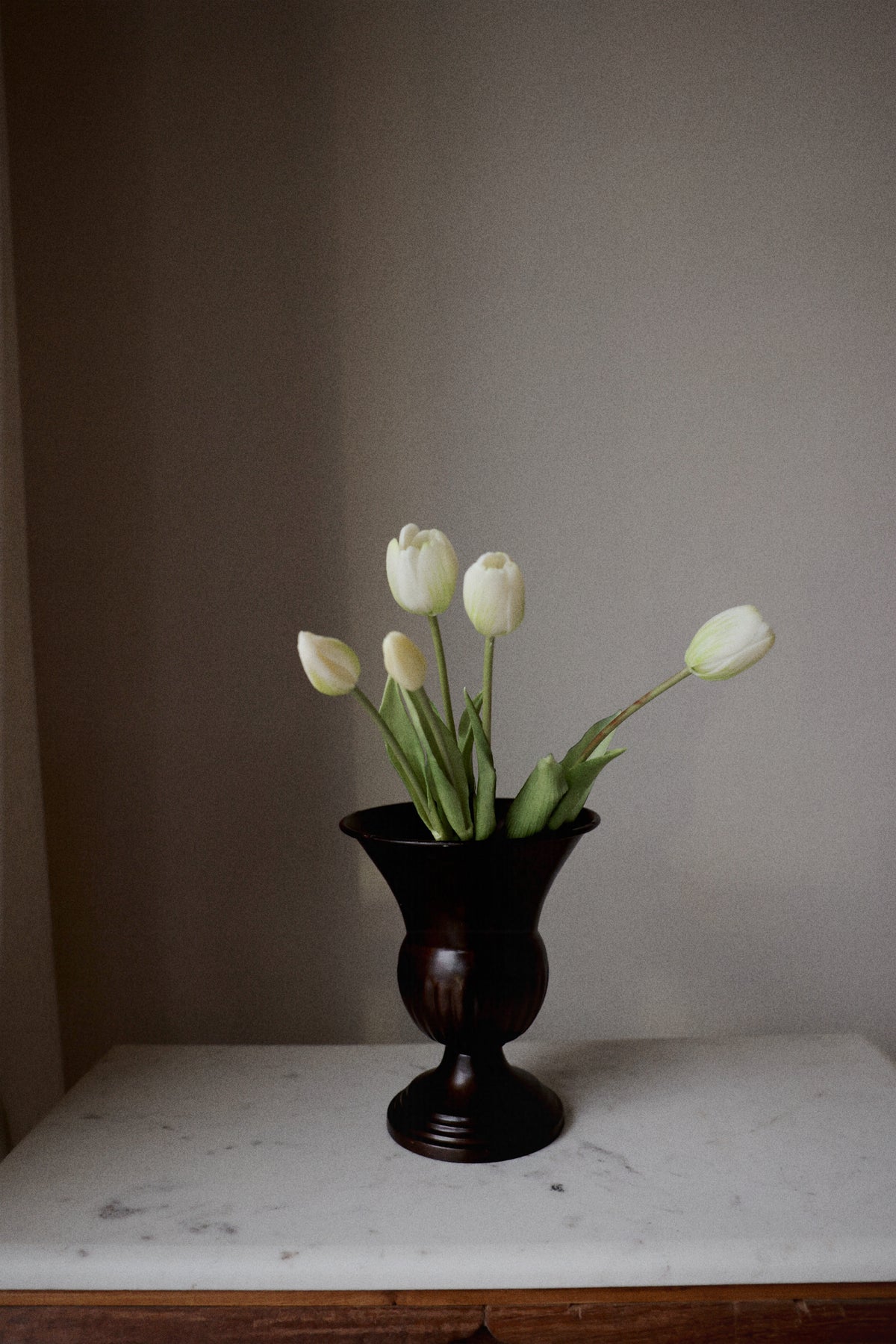 Tulipaner