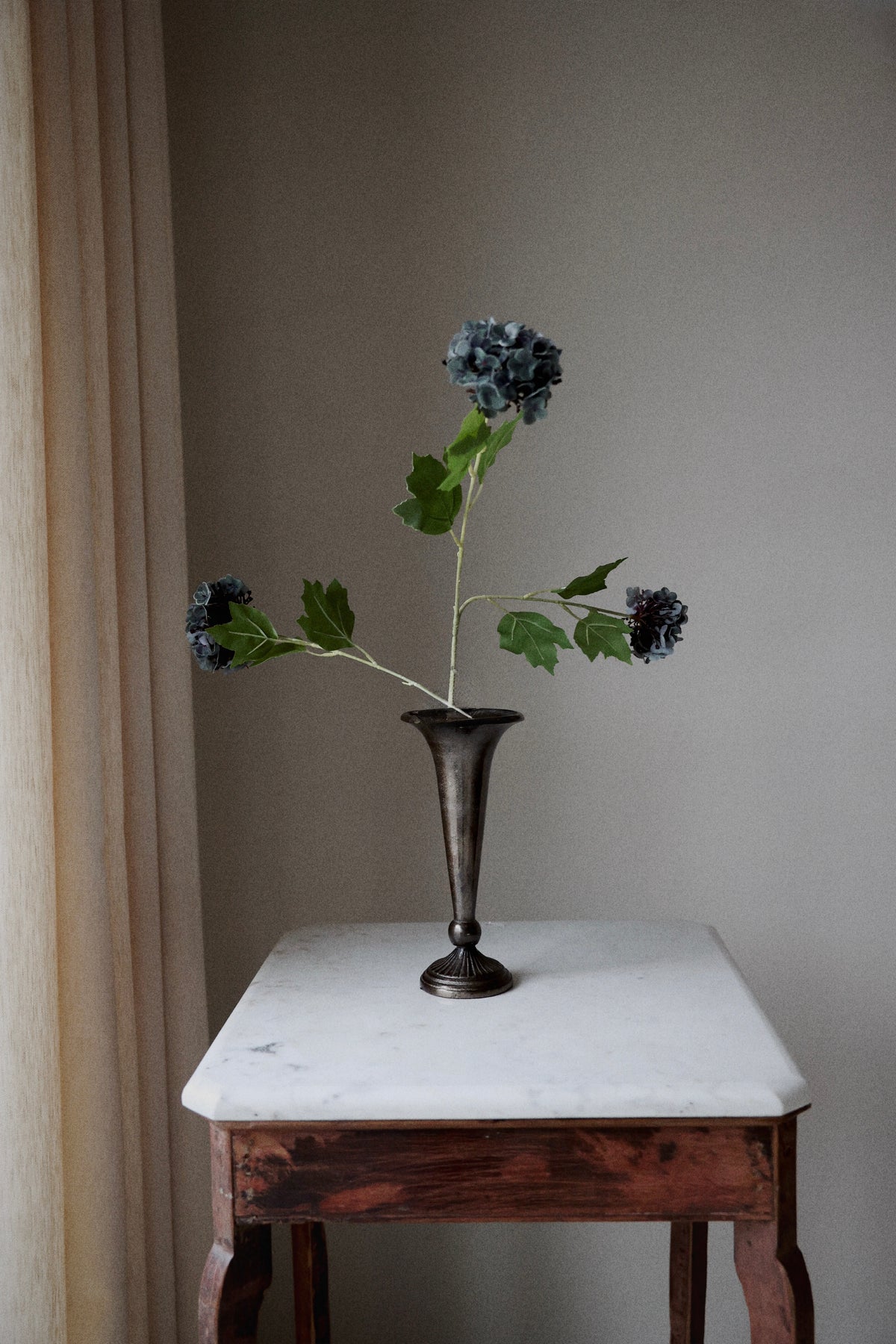 Hortensia blå