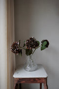 Hortensia brun