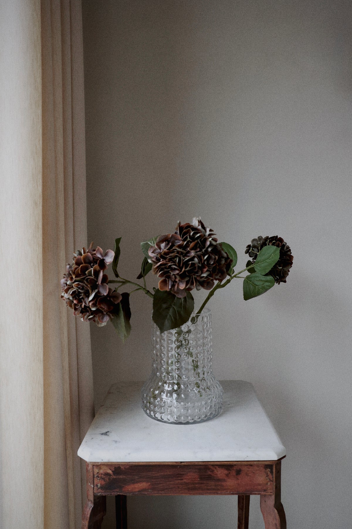 Hortensia brun