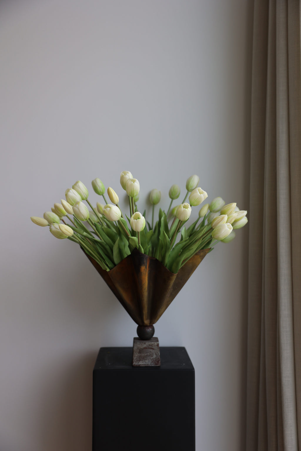 Tulipaner